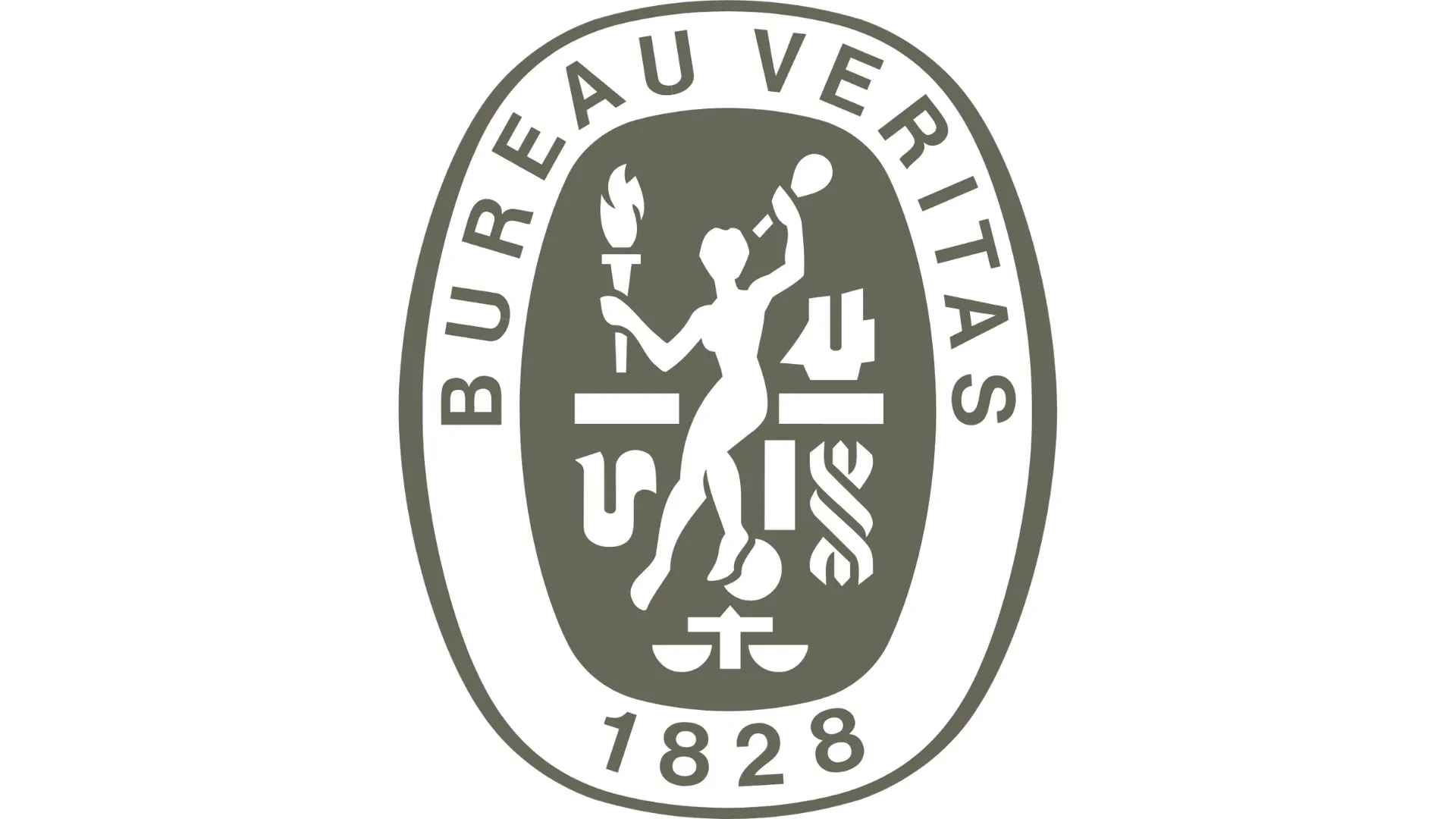 Logo Bureau Veritas